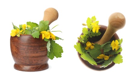 Celandine and pestles in wooden mortars on white background, collage Image of Celandine and pestles in wooden mortars on white background, collage