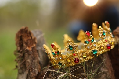 Beautiful golden crown on stump outdoors, closeup. Fantasy item Photo of Beautiful golden crown on stump outdoors, closeup. Fantasy item