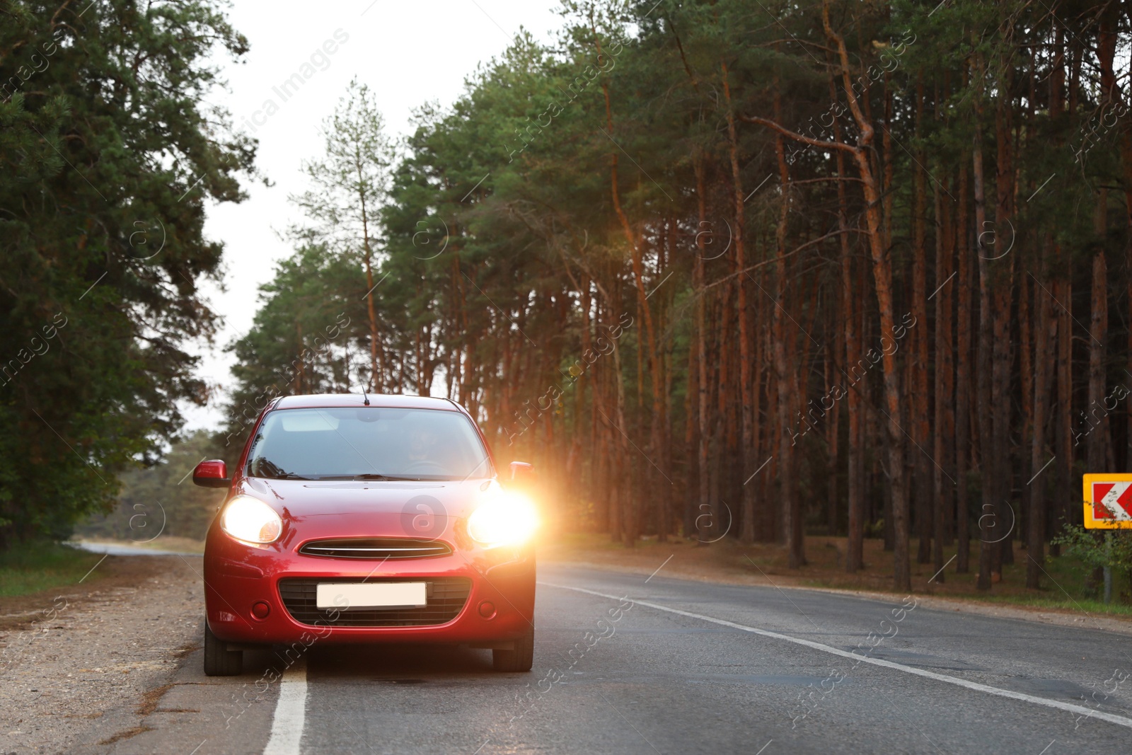 Photo of Red car parked near forest. Road trip