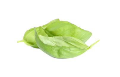 Photo of Fresh green basil leaves isolated on white