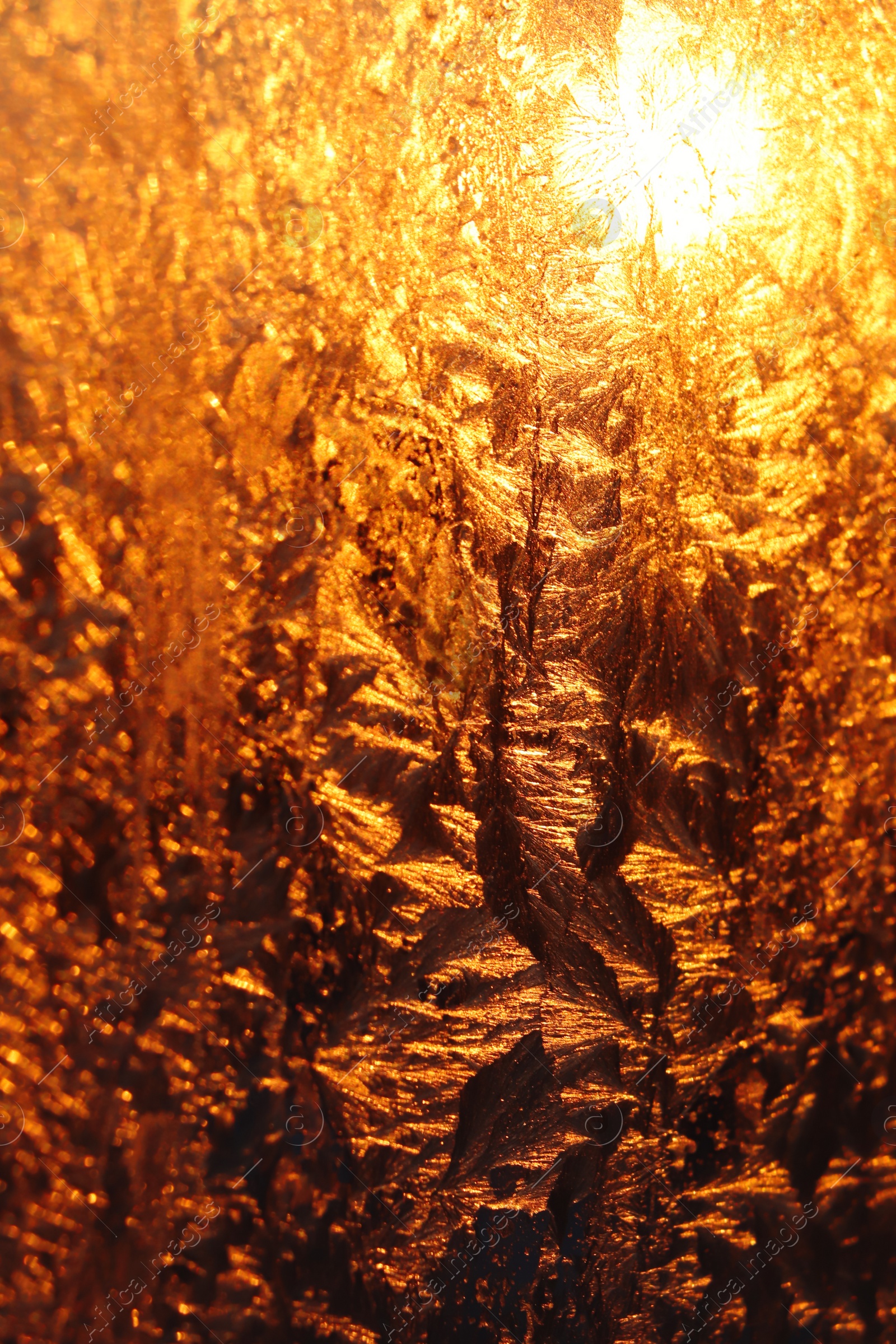 Photo of Beautiful frosty window as background, closeup. Winter morning