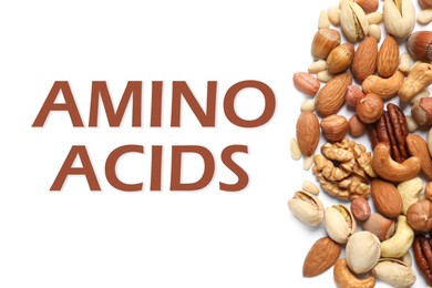 Different delicious nuts on white background, flat lay. Sources of essential amino acids Image of Different delicious nuts on white background, flat lay. Sources of essential amino acids