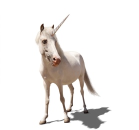 Amazing unicorn with beautiful mane on white background Image of Amazing unicorn with beautiful mane on white background