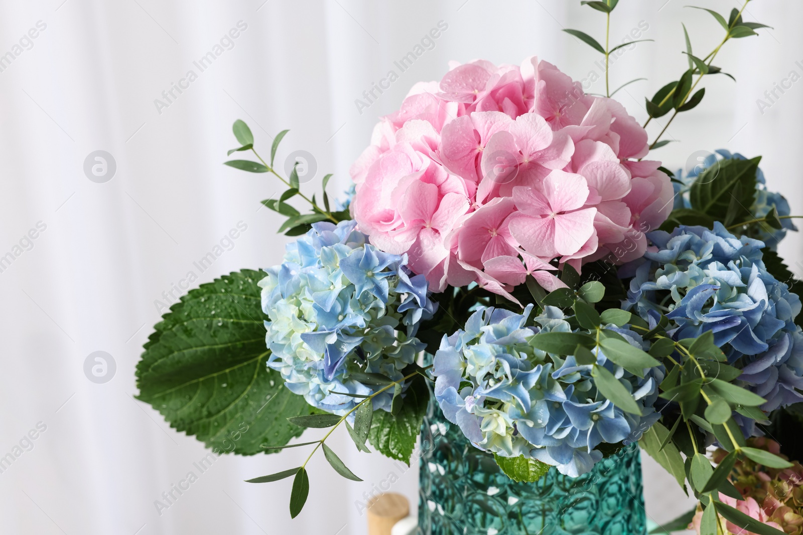Beautiful hortensia flowers in vase indoors, closeup Photo of Beautiful hortensia flowers in vase indoors, closeup