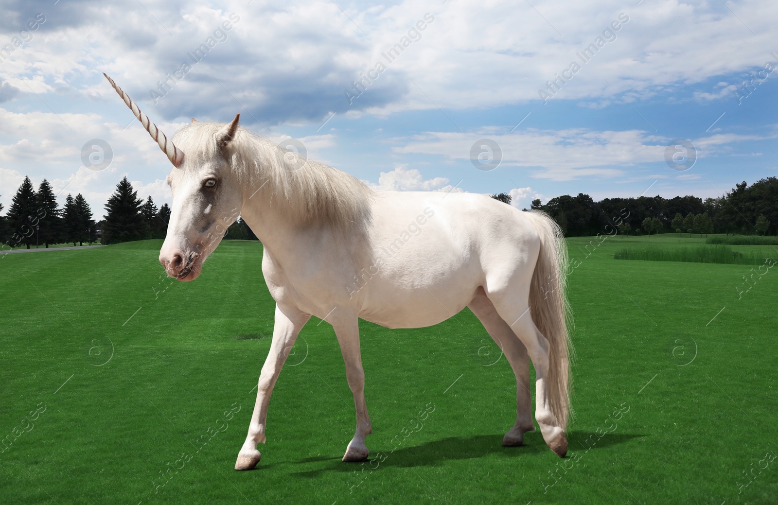 Amazing unicorn with beautiful mane in field Image of Amazing unicorn with beautiful mane in field