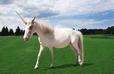 Amazing unicorn with beautiful mane in field Image of Amazing unicorn with beautiful mane in field