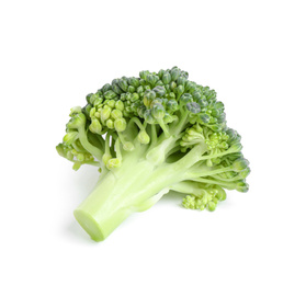 Fresh green raw broccoli on white background Photo of Fresh green raw broccoli on white background
