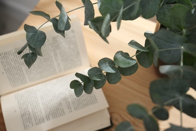Beautiful eucalyptus branches and open book on table indoors, above view. Interior element Photo of Beautiful eucalyptus branches and open book on table indoors, above view. Interior element
