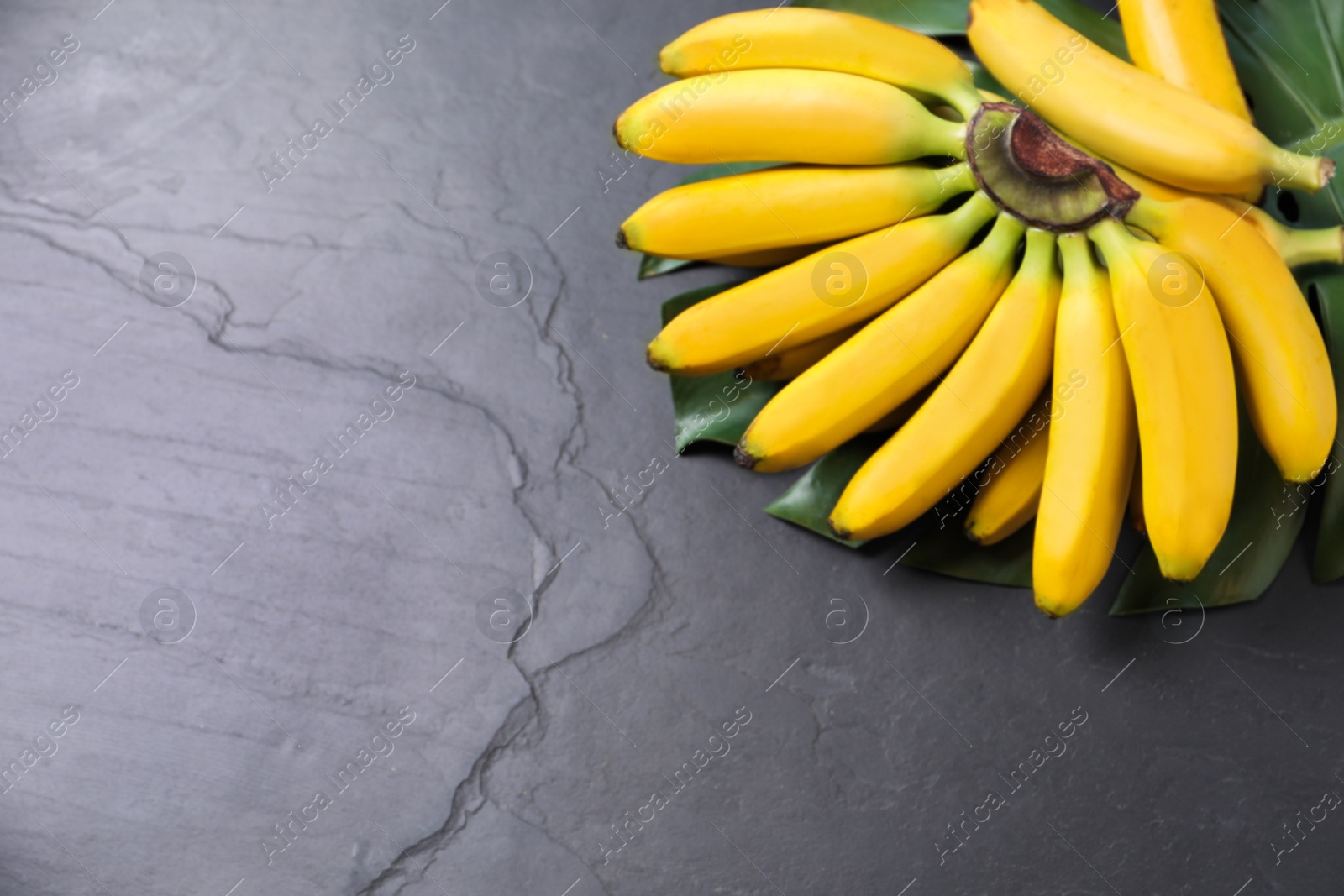 Tasty ripe baby bananas on dark table, above view. Space for text Photo of Tasty ripe baby bananas on dark table, above view. Space for text