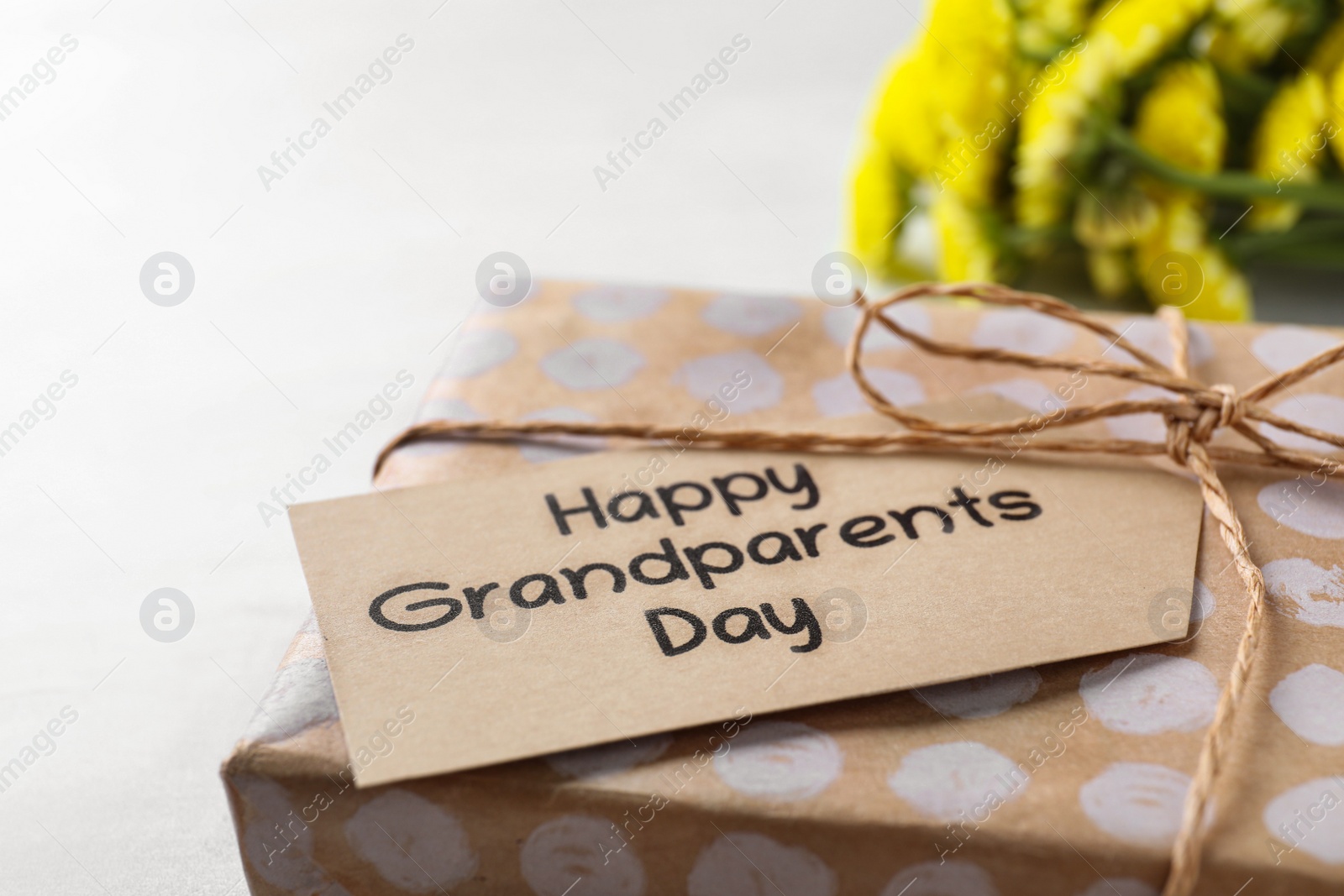 Gift box and tag with phrase Happy Grandparents Day on light background, closeup Photo of Gift box and tag with phrase Happy Grandparents Day on light background, closeup