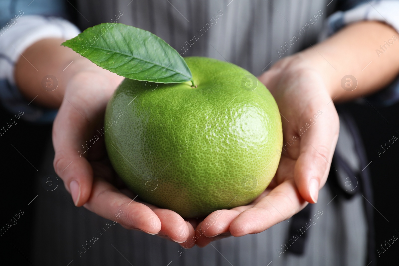 Photo of Woman holding fresh ripe sweetie fruit, closeup