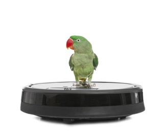 Modern robotic vacuum cleaner and Alexandrine parakeet on white background Photo of Modern robotic vacuum cleaner and Alexandrine parakeet on white background