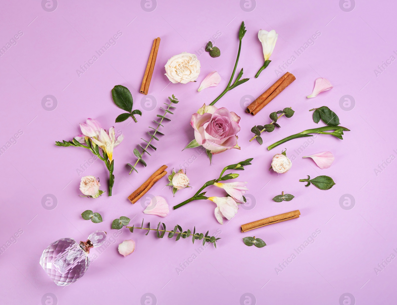 Beautiful flat lay composition with bottle of perfume, cinnamon and flowers on lilac background Photo of Beautiful flat lay composition with bottle of perfume, cinnamon and flowers on lilac background