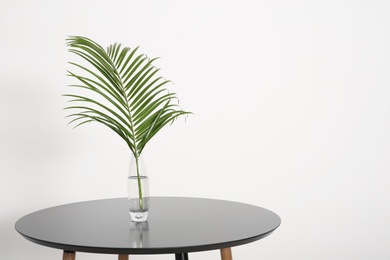 Tropical leaf in glass vase on table indoors. Idea for modern stylish interior Photo of Tropical leaf in glass vase on table indoors. Idea for modern stylish interior