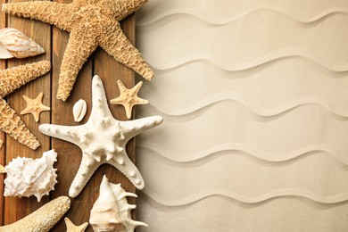Photo of Beautiful sea stars and shells on sand, flat lay. Space for text