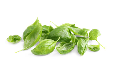 Pile of fresh basil leaves isolated on white Photo of Pile of fresh basil leaves isolated on white