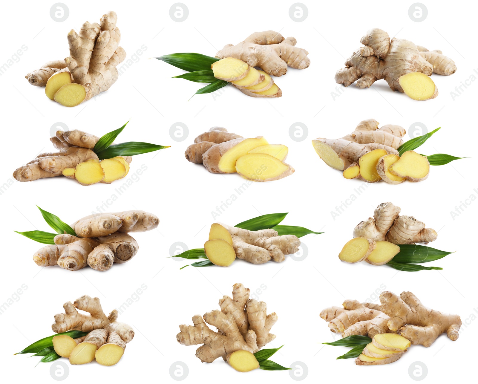 Image of Set of fresh aromatic ginger with green leaves on white background