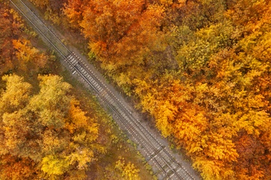Beautiful aerial view of autumn forest crossed by railway Image of Beautiful aerial view of autumn forest crossed by railway