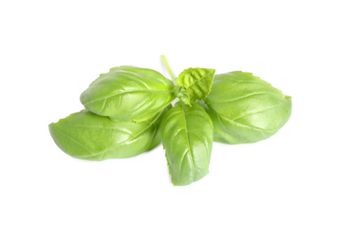 Fresh green basil leaves isolated on white Photo of Fresh green basil leaves isolated on white