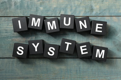 Black cubes with phrase Immune System on blue wooden table, flat lay Photo of Black cubes with phrase Immune System on blue wooden table, flat lay