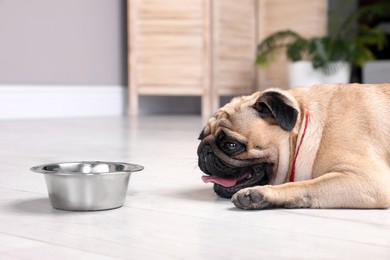 Cute pug dog suffering from heat stroke near bowl of water on floor at home Photo of Cute pug dog suffering from heat stroke near bowl of water on floor at home
