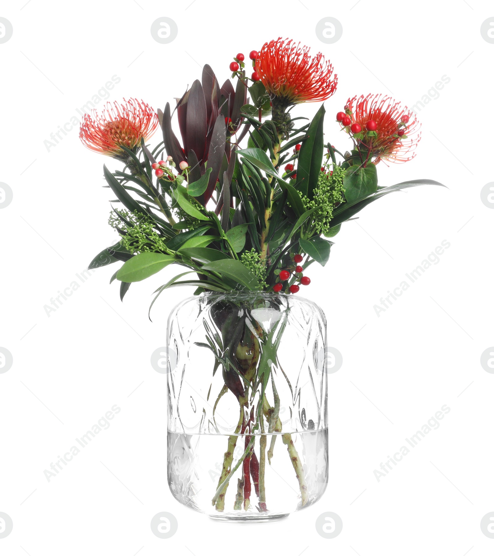 Photo of Vase with bouquet of beautiful protea flowers on white background