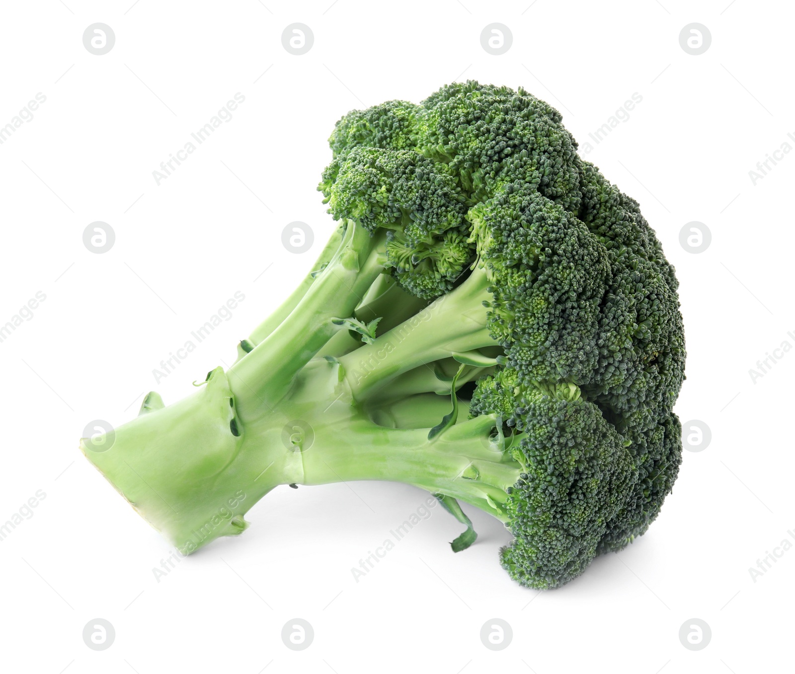 Fresh broccoli isolated on white. Edible green plant Photo of Fresh broccoli isolated on white. Edible green plant