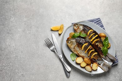 Tasty homemade roasted crucian carps served on light grey table, flat lay and space for text. River fish Photo of Tasty homemade roasted crucian carps served on light grey table, flat lay and space for text. River fish