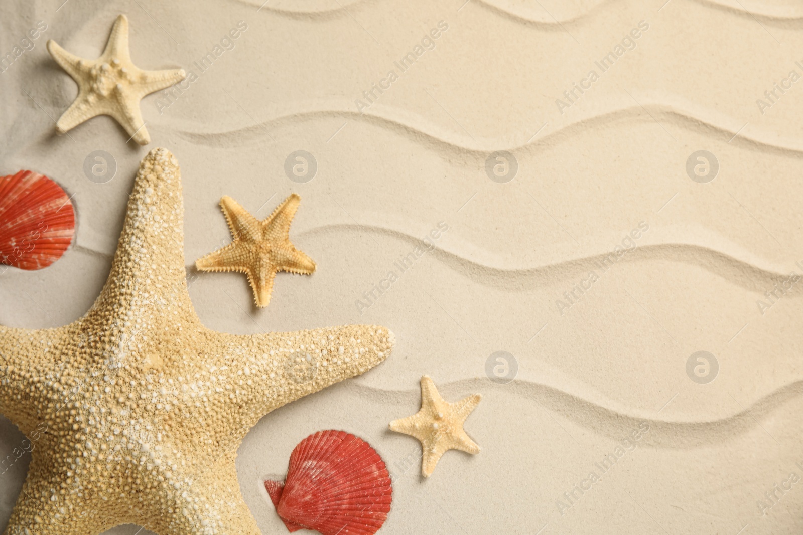 Beautiful sea stars and shells on sand, flat lay. Space for text Photo of Beautiful sea stars and shells on sand, flat lay. Space for text