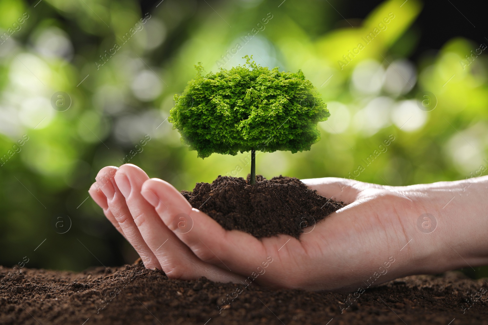 Woman holding pile of soil with small tree on blurred green background, closeup. Eco friendly lifestyle Image of Woman holding pile of soil with small tree on blurred green background, closeup. Eco friendly lifestyle