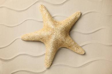 Beautiful sea star on sand, top view Photo of Beautiful sea star on sand, top view