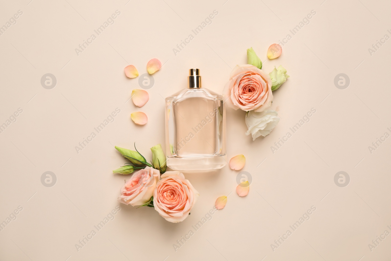 Flat lay composition with bottle of perfume and fresh flowers on beige background Photo of Flat lay composition with bottle of perfume and fresh flowers on beige background