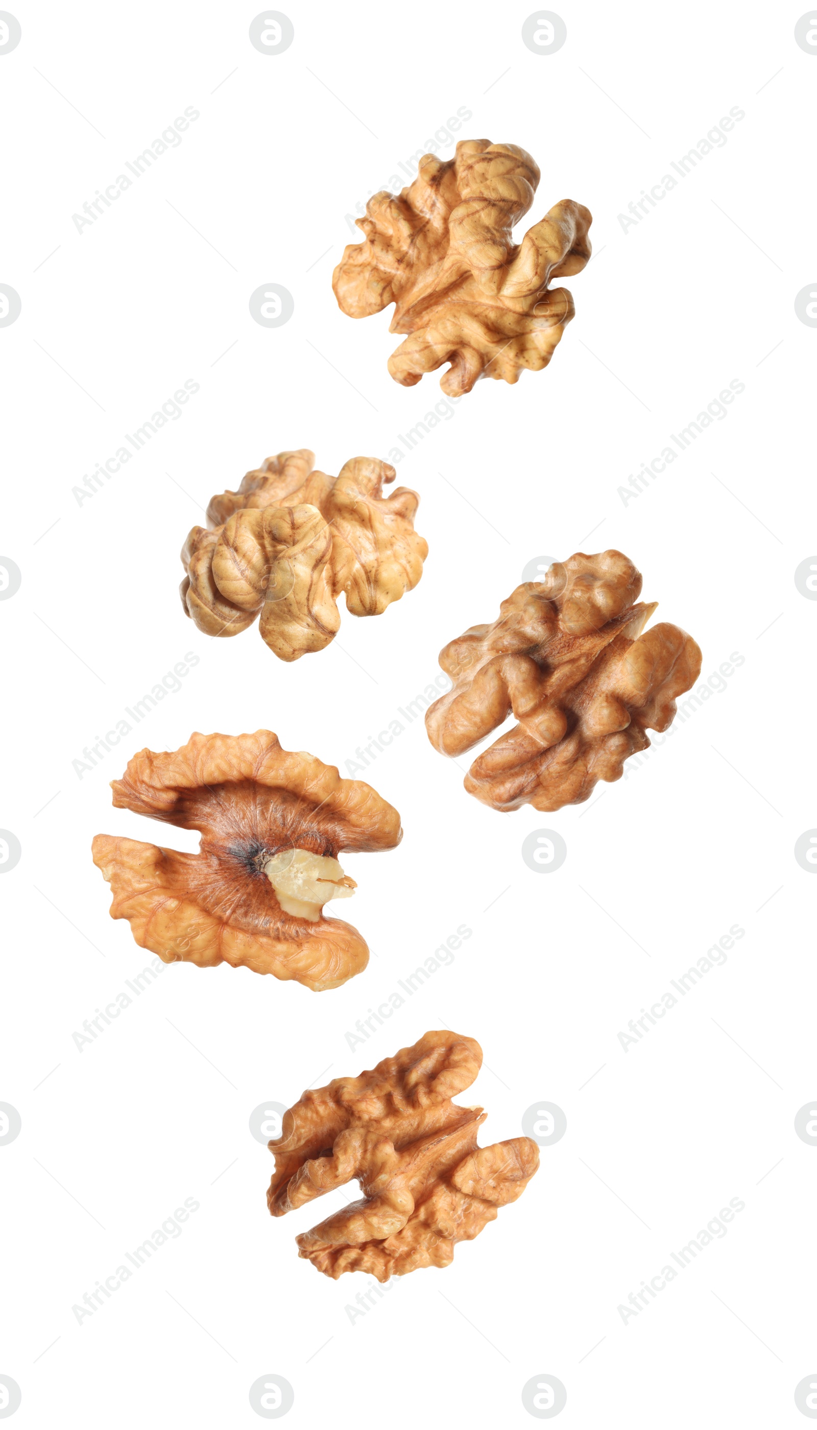 Halves of walnuts falling on white background Image of Halves of walnuts falling on white background