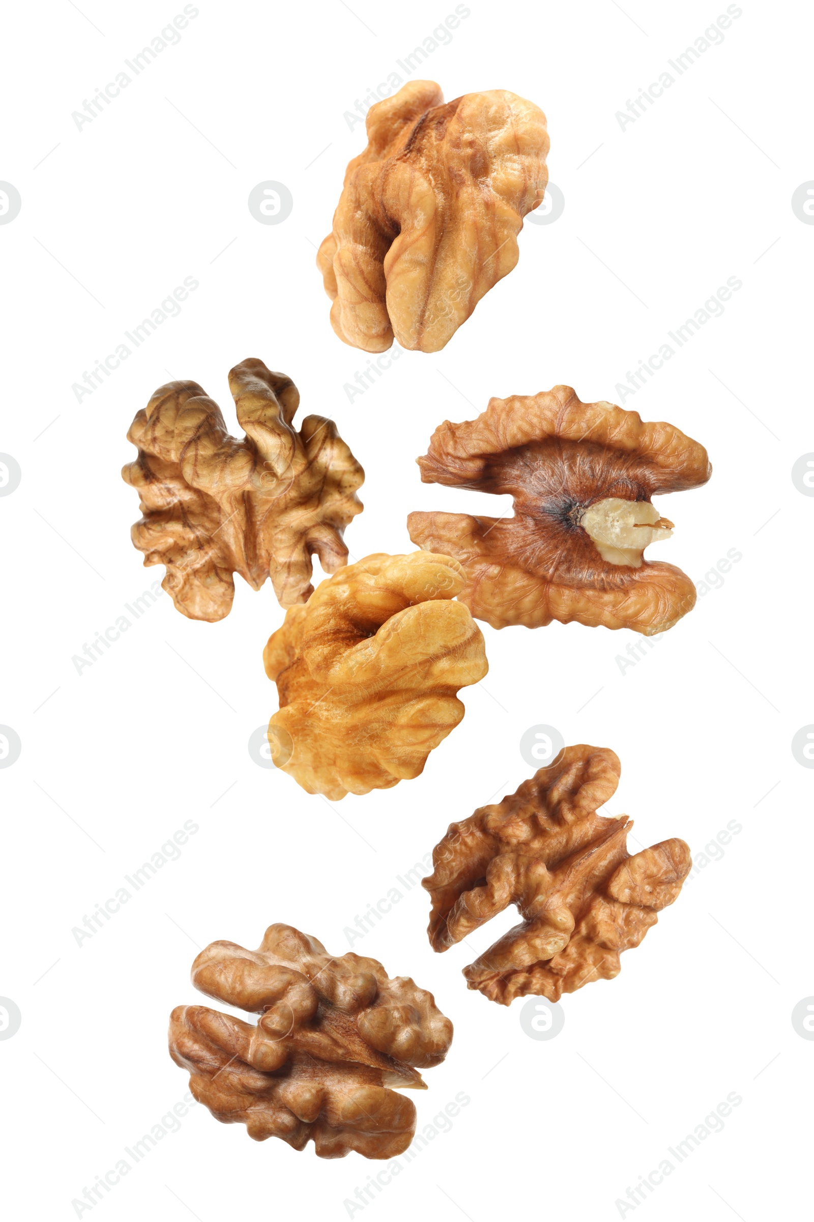 Halves of walnuts falling on white background Image of Halves of walnuts falling on white background