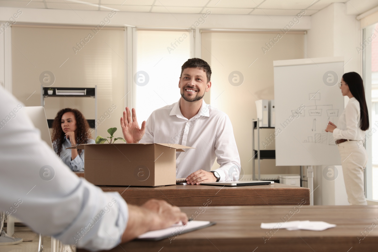 New coworker greeting employee in modern office Photo of New coworker greeting employee in modern office