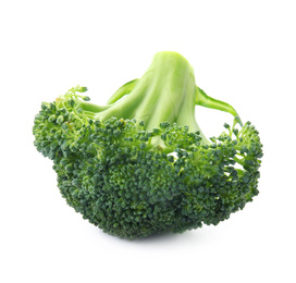 Fresh broccoli isolated on white. Edible green plant Photo of Fresh broccoli isolated on white. Edible green plant