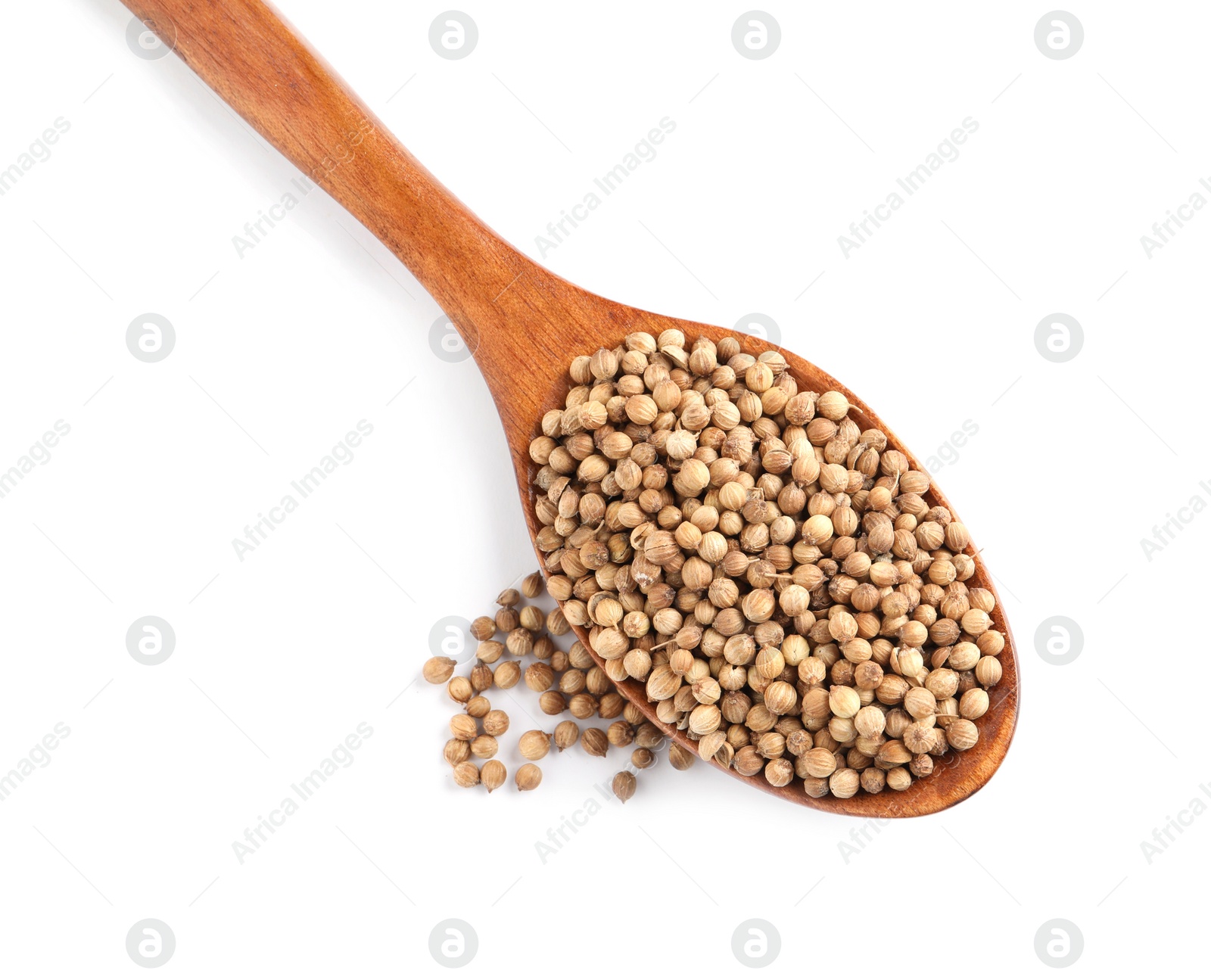 Dried coriander seeds with wooden spoon on white background, top view Photo of Dried coriander seeds with wooden spoon on white background, top view