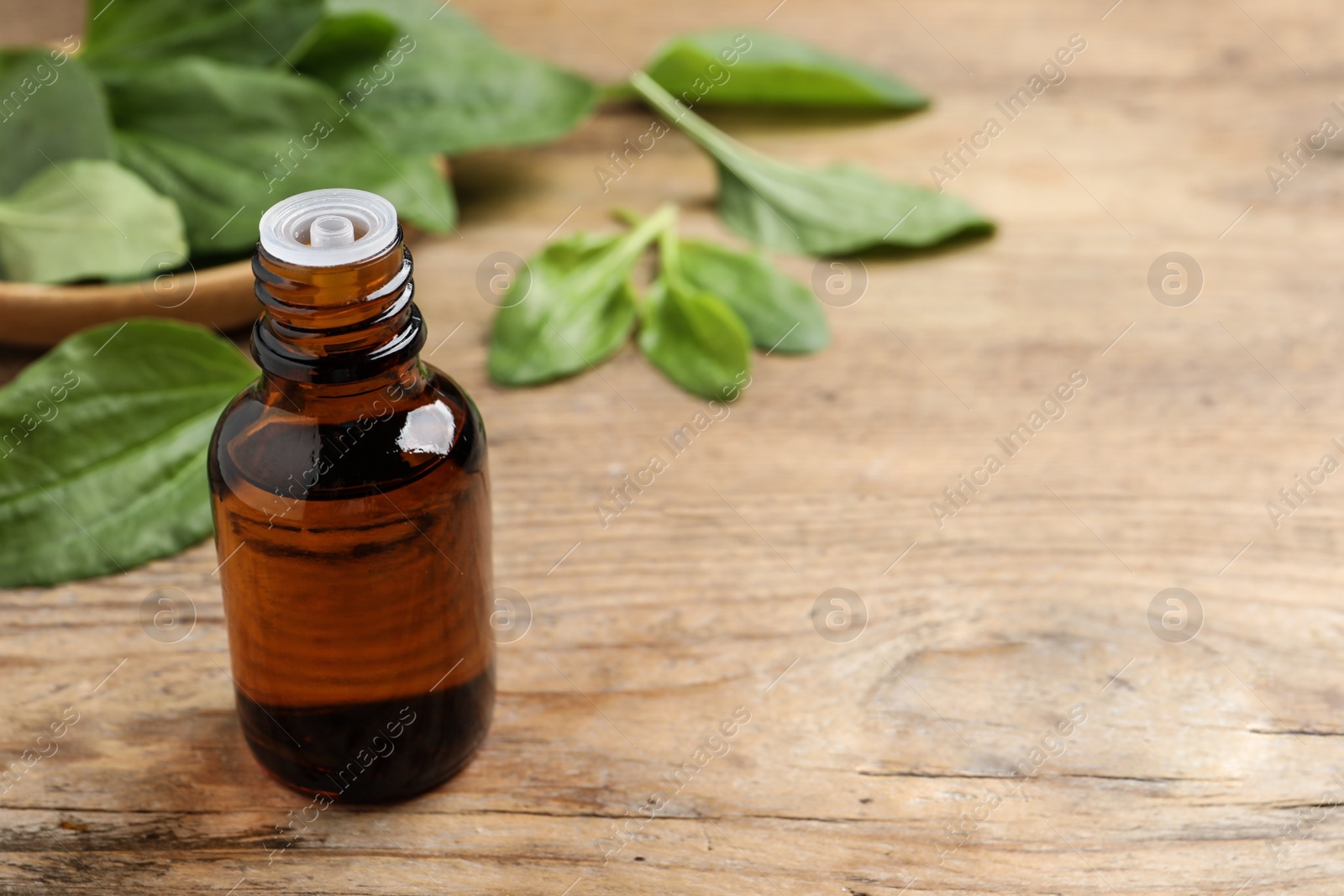 Bottle of broadleaf plantain extract and leaves on wooden table, space for text Photo of Bottle of broadleaf plantain extract and leaves on wooden table, space for text