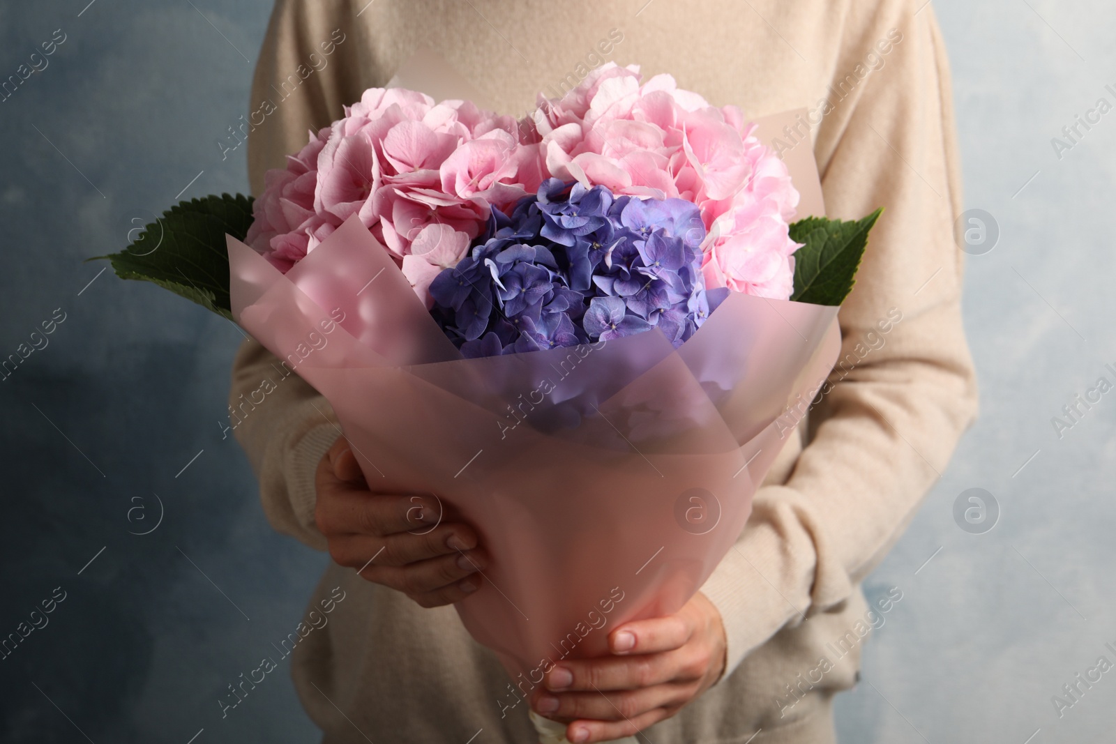 Woman with bouquet of beautiful hortensia flowers on color background, closeup Photo of Woman with bouquet of beautiful hortensia flowers on color background, closeup