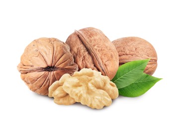 Tasty walnuts and green leaves on white background Image of Tasty walnuts and green leaves on white background