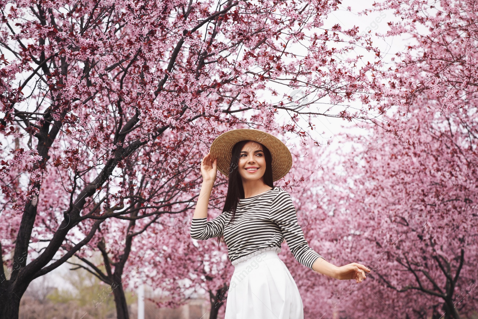 Pretty young woman in park with blooming trees. Spring look Photo of Pretty young woman in park with blooming trees. Spring look
