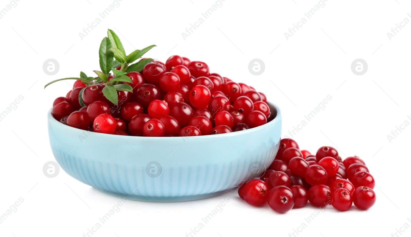 Fresh ripe cranberries with leaves on white background Photo of Fresh ripe cranberries with leaves on white background