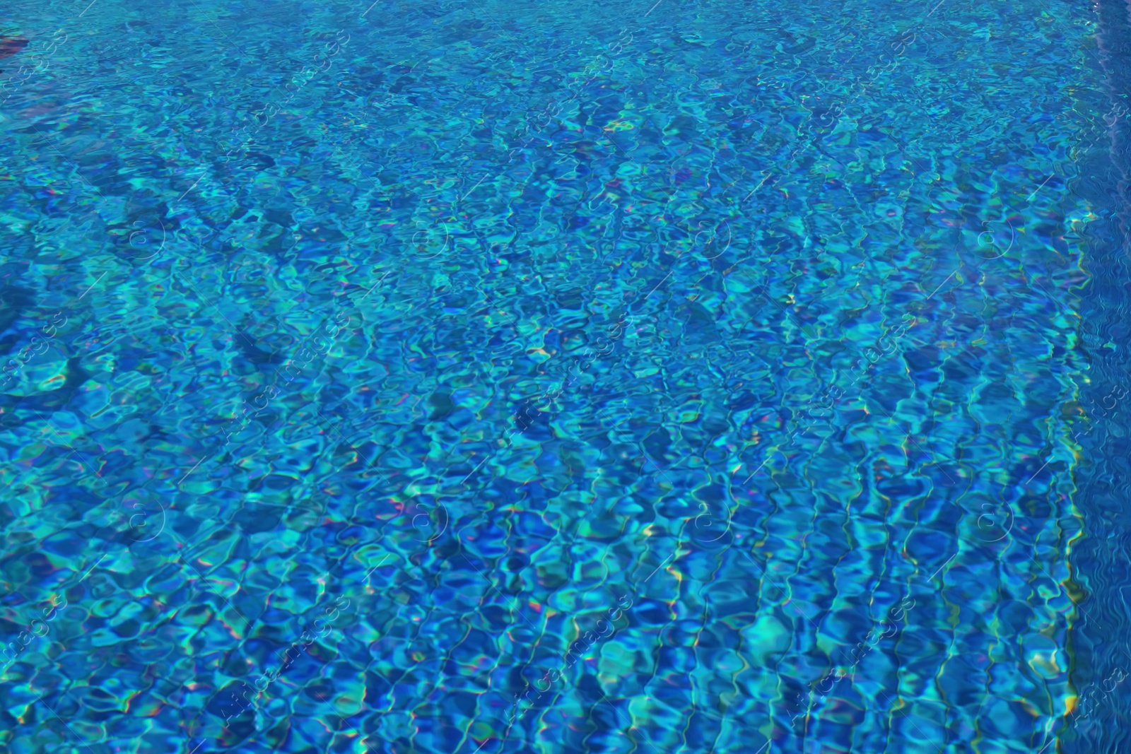 Outdoor swimming pool with clear water on sunny day Photo of Outdoor swimming pool with clear water on sunny day