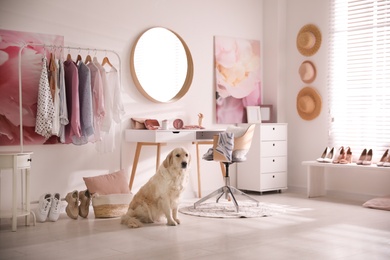 Adorable Golden Retriever dog in stylish dressing room Photo of Adorable Golden Retriever dog in stylish dressing room