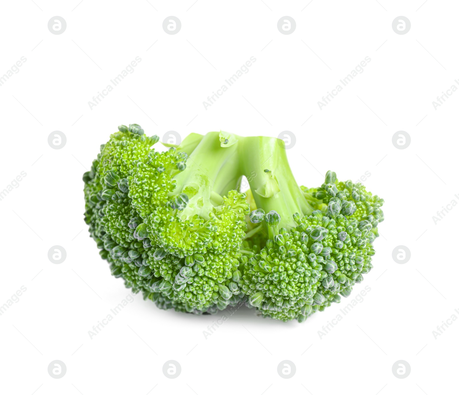 Photo of Fresh green raw broccoli on white background