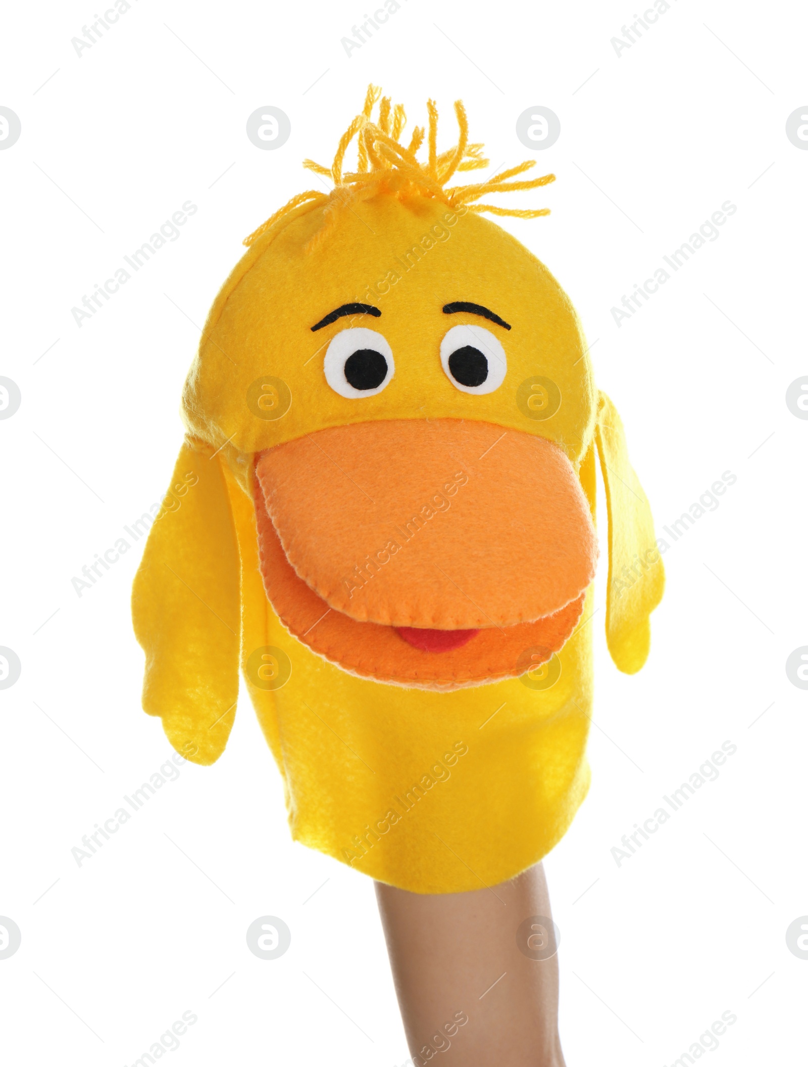 Duck puppet for show on hand against white background Photo of Duck puppet for show on hand against white background