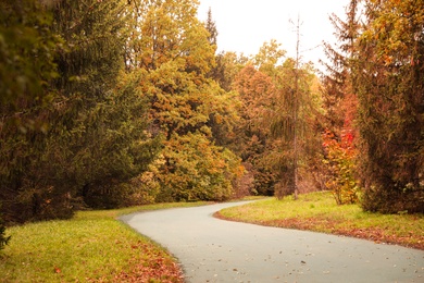 Beautiful view of park with trees on autumn day Photo of Beautiful view of park with trees on autumn day