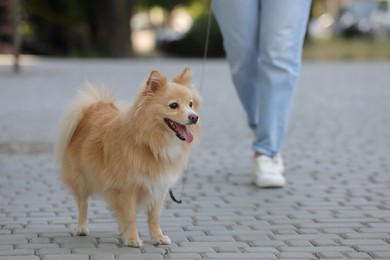 Woman with her cute dog walking on city street. closeup Photo of Woman with her cute dog walking on city street. closeup