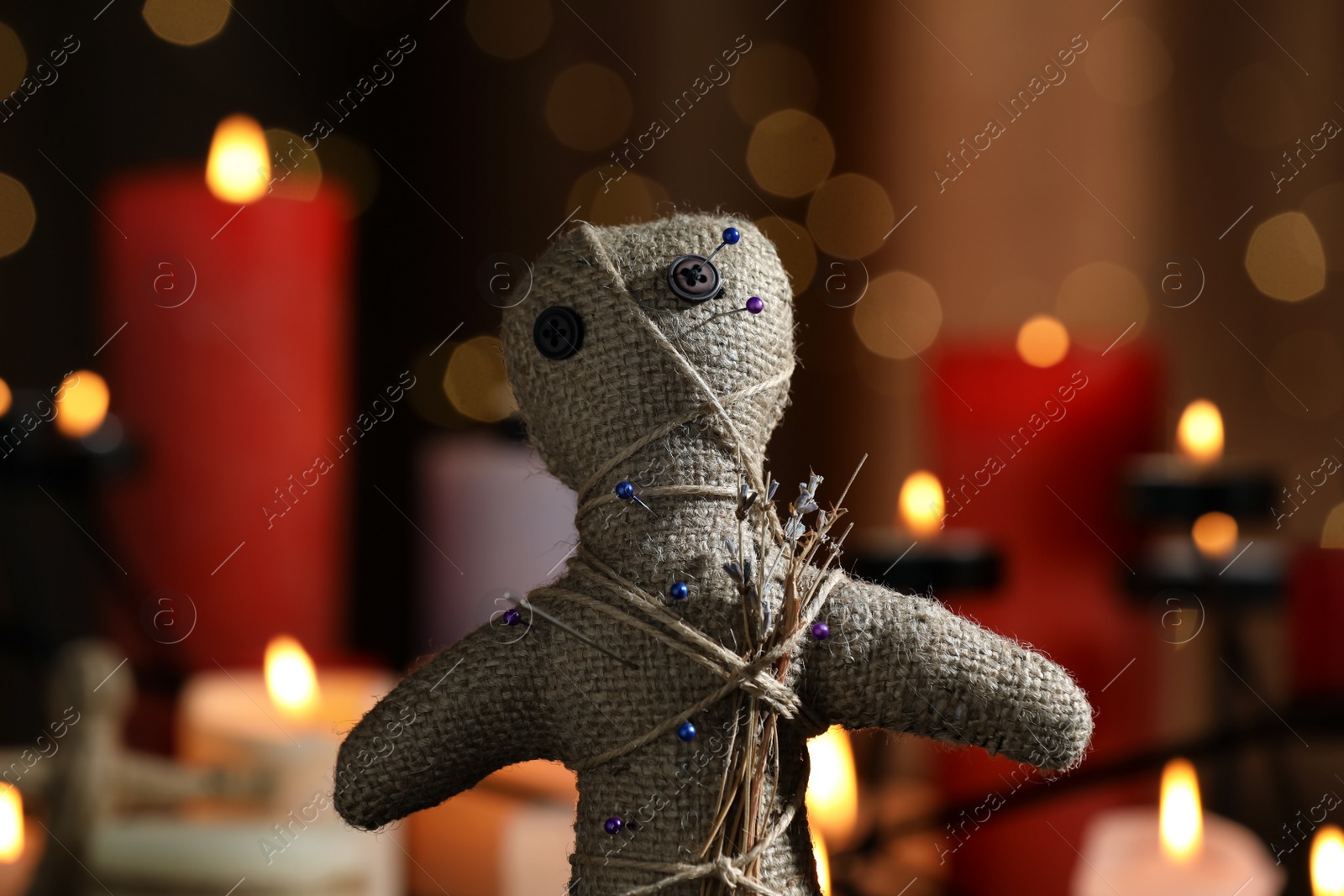 Voodoo doll with pins and dried flowers in dark room, closeup. Curse ceremony Photo of Voodoo doll with pins and dried flowers in dark room, closeup. Curse ceremony