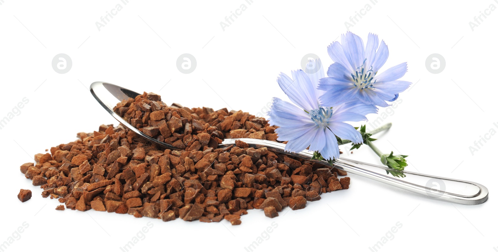 Pile of chicory granules and flowers on white background Photo of Pile of chicory granules and flowers on white background